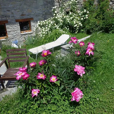 Ciliegio Apartament *